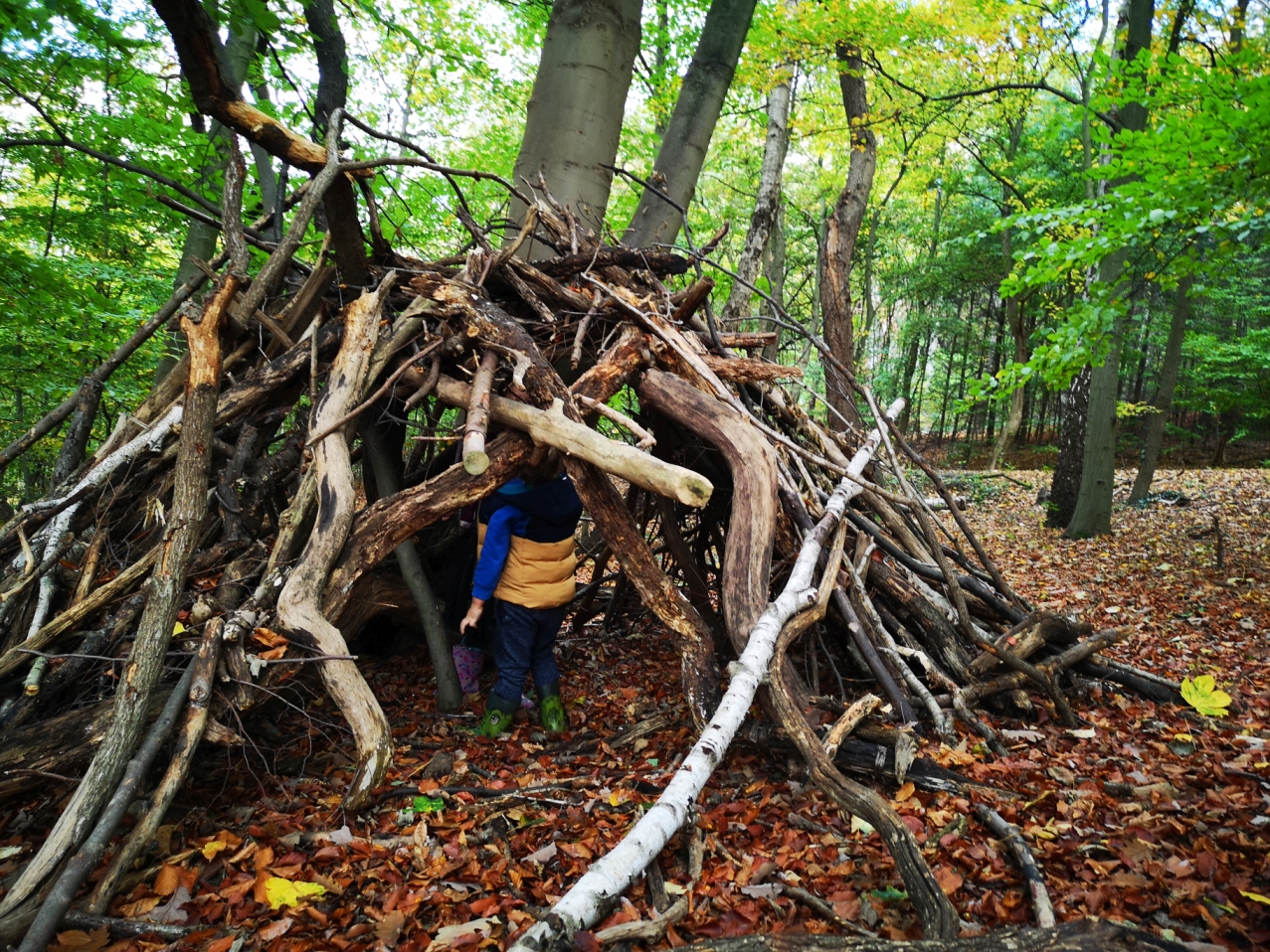 Kinder im Wald